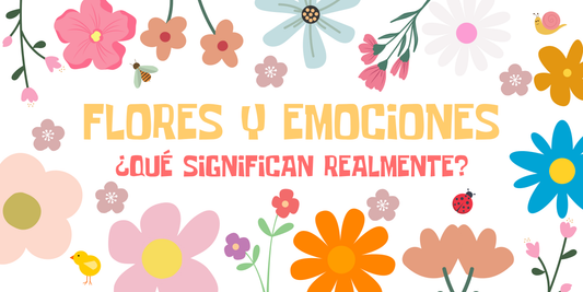 Flores y emociones: ¿Qué significan realmente?