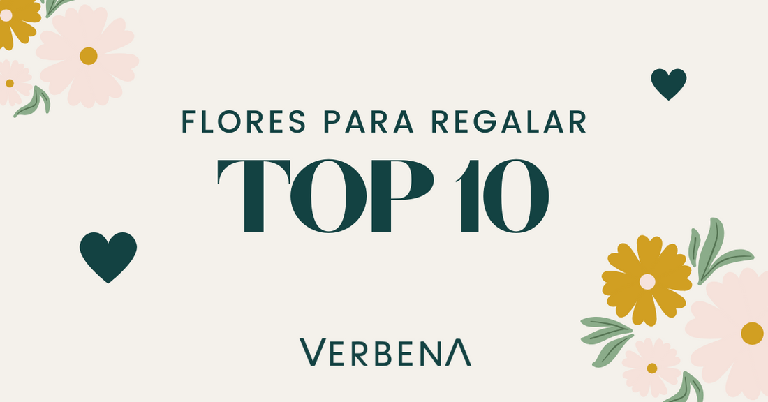 TOP 10 Flores para Regalar