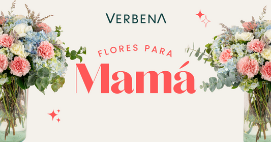 Flores para Regalar a Mamá