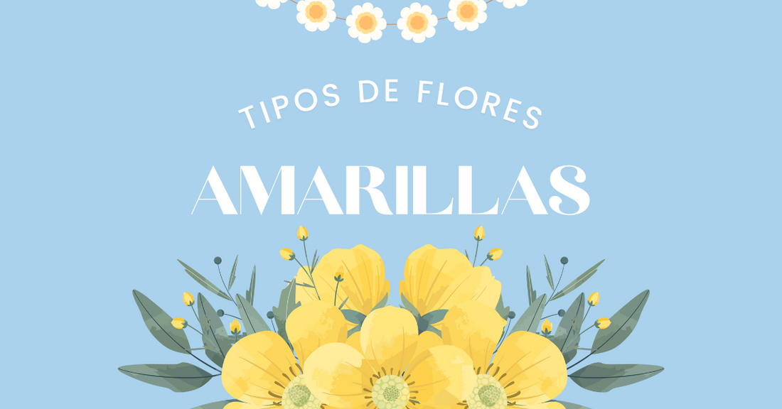 Tipos de Flores Amarillas 
