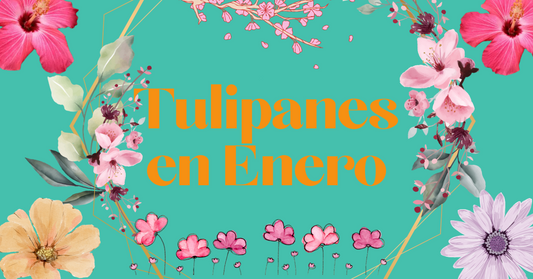 Tulipanes en Enero Verbena 2024