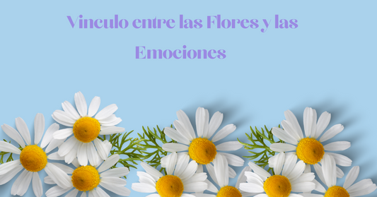Vinculo entre las Flores y las Emociones 