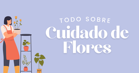 cuidado de flores