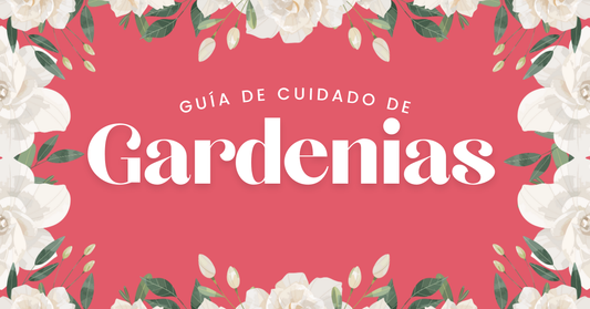 cuidado de gardenias