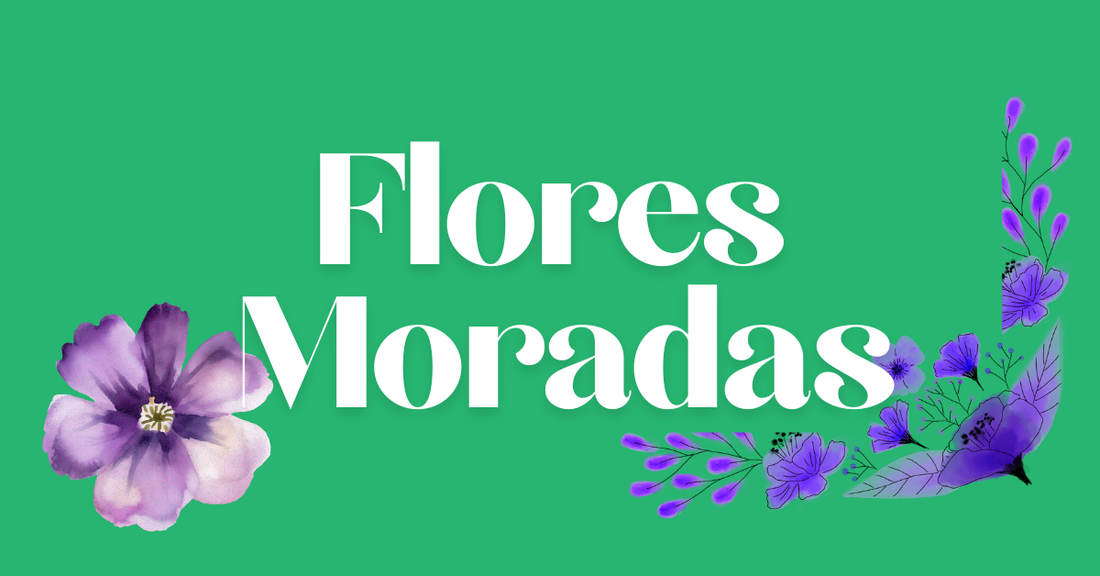 flores moradas