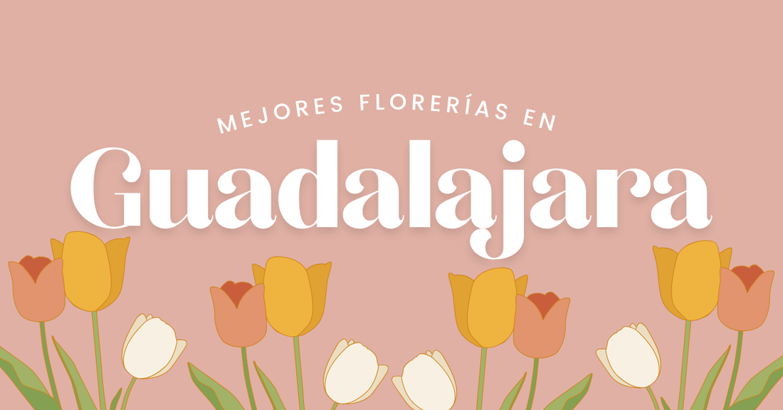 mejores florerías en Guadalajara