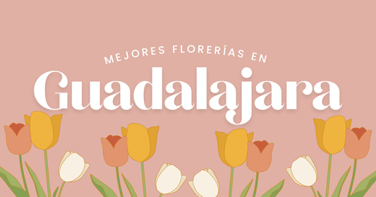 mejores florerías en Guadalajara