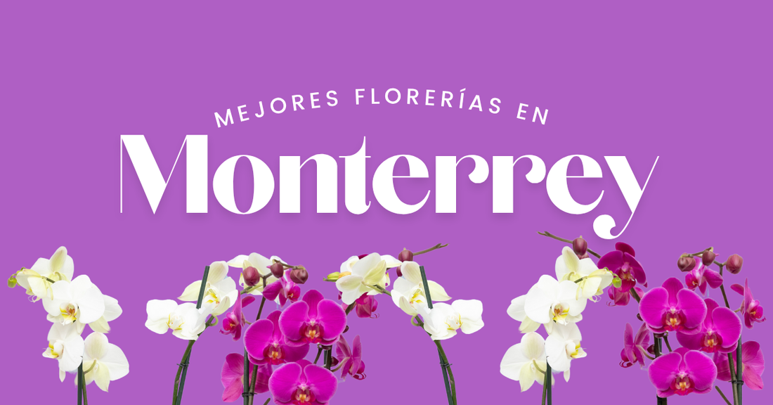 mejores florerías en Monterrey