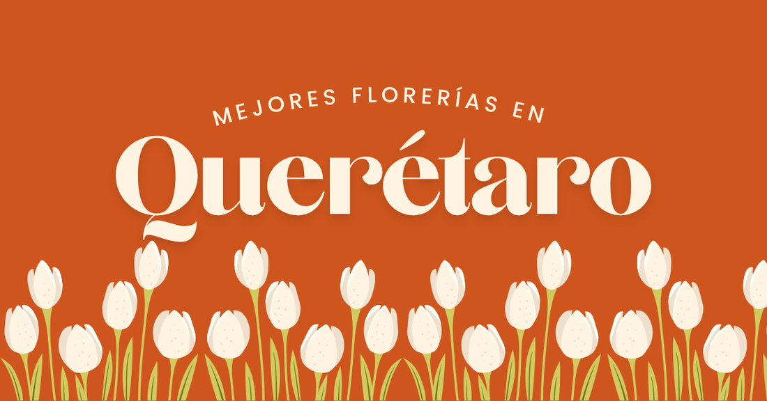 mejores florerías en Querétaro