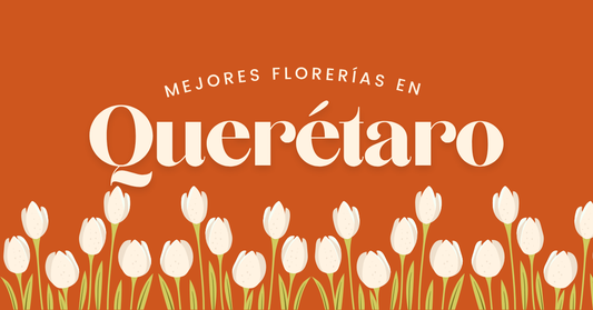 mejores florerías en Querétaro