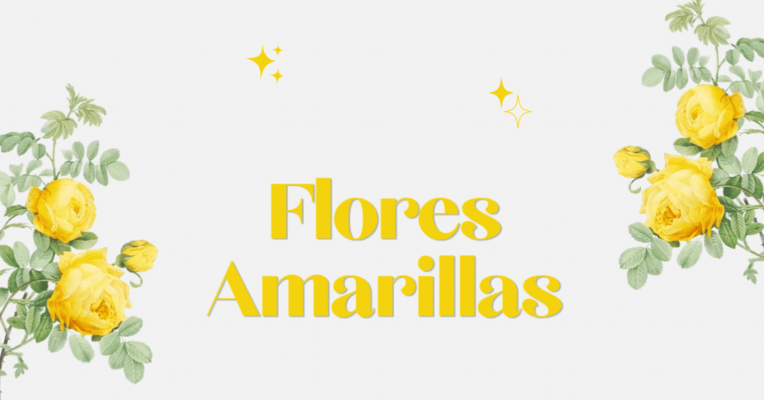 ¿Qué significa regalar flores amarillas? Origen, simbolismo y fechas especiales