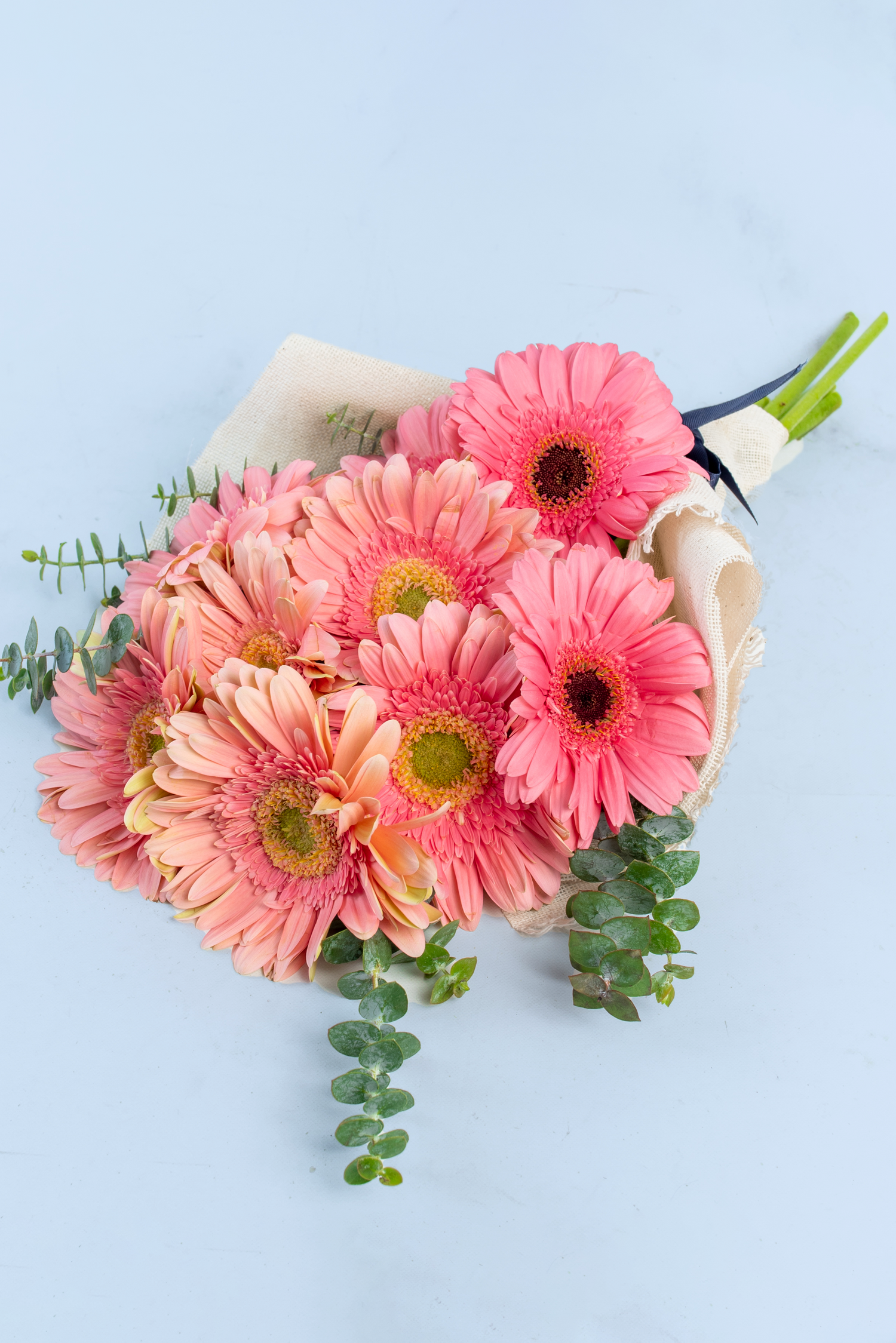 Gerberas a Domicilio en Tamaulipas