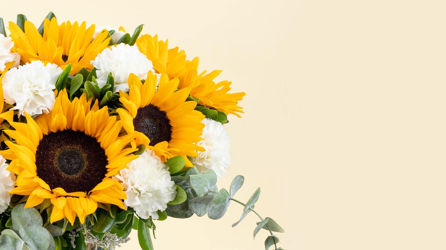 Enviar Flores a Domicilio