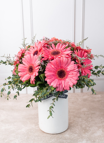 Gerberas a Domicilio en Zapopan