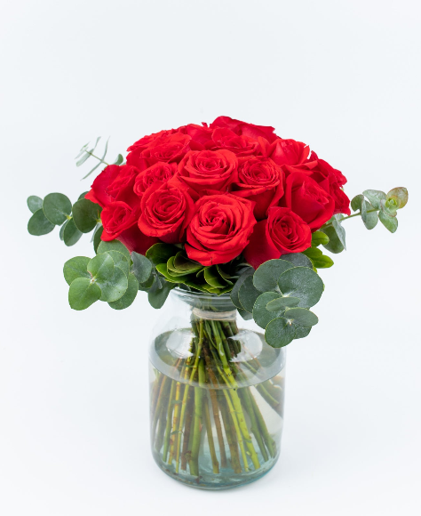 Enviar Rosas a Domicilio en Querétaro