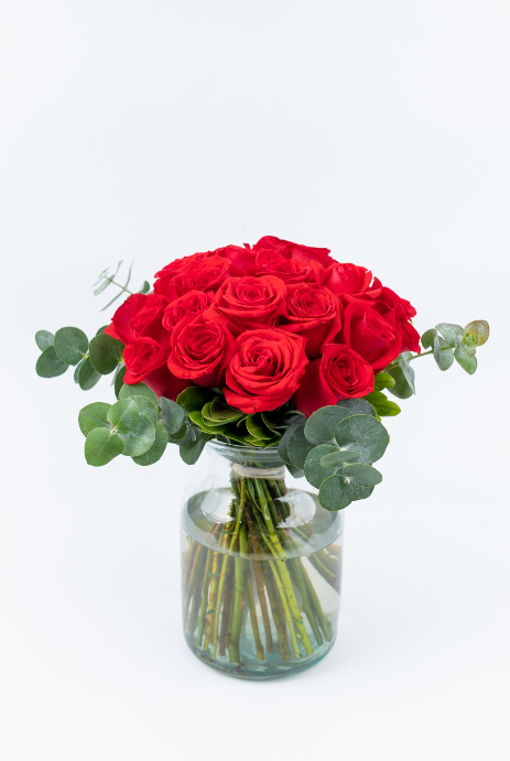 Enviar Rosas a Domicilio en Tuxtla Gutierrez 