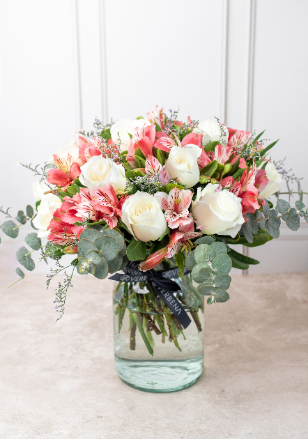 Flash Sale Verbena Flores 2024