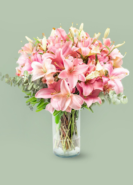 Flores para Enviar