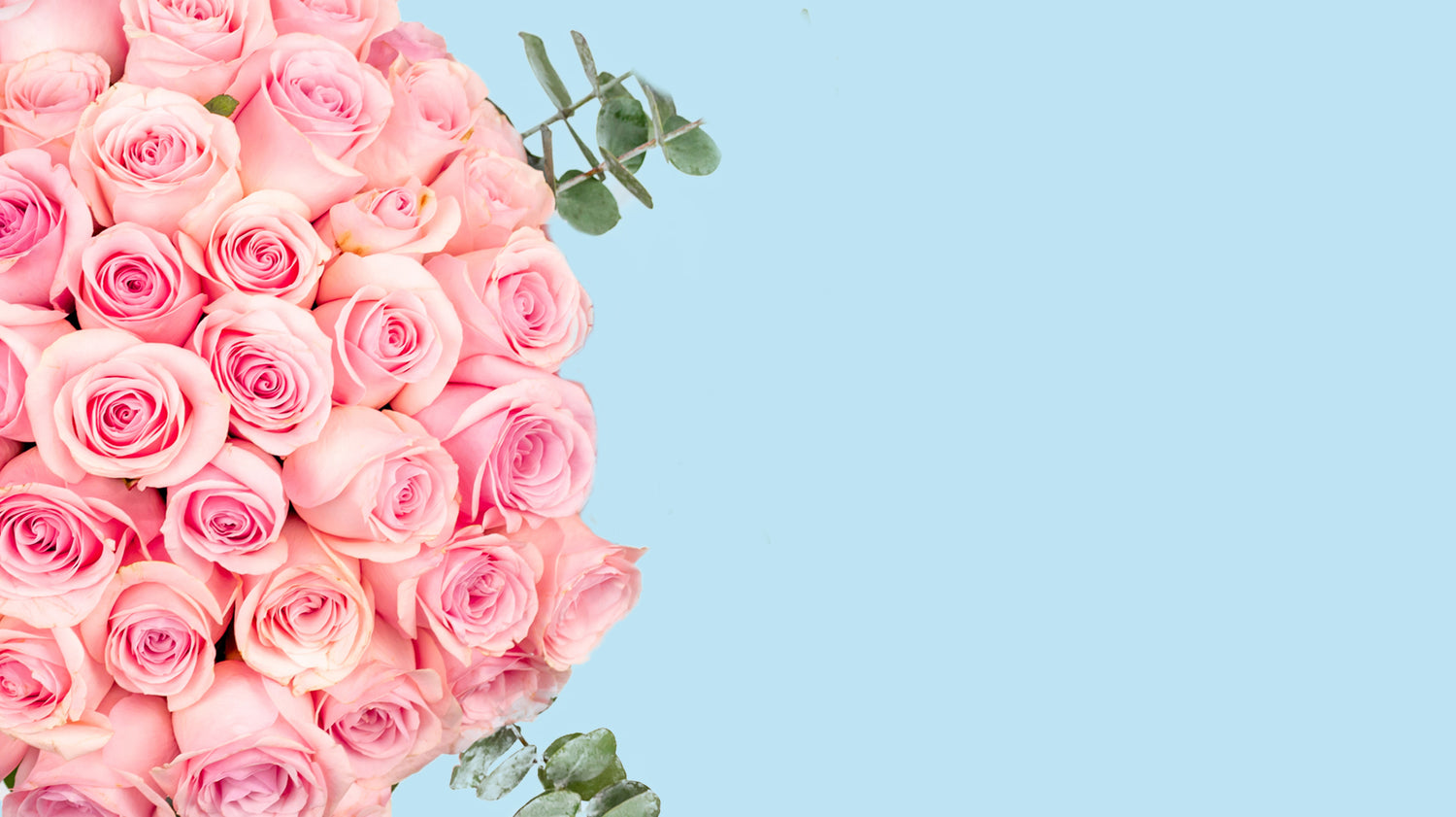 Enviar Flores a Ciudad de México