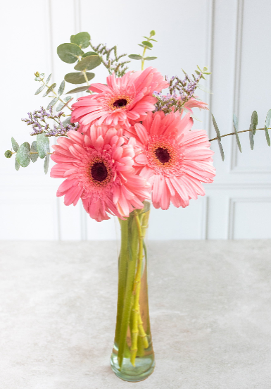 Rosas para una Mujer Hermosa