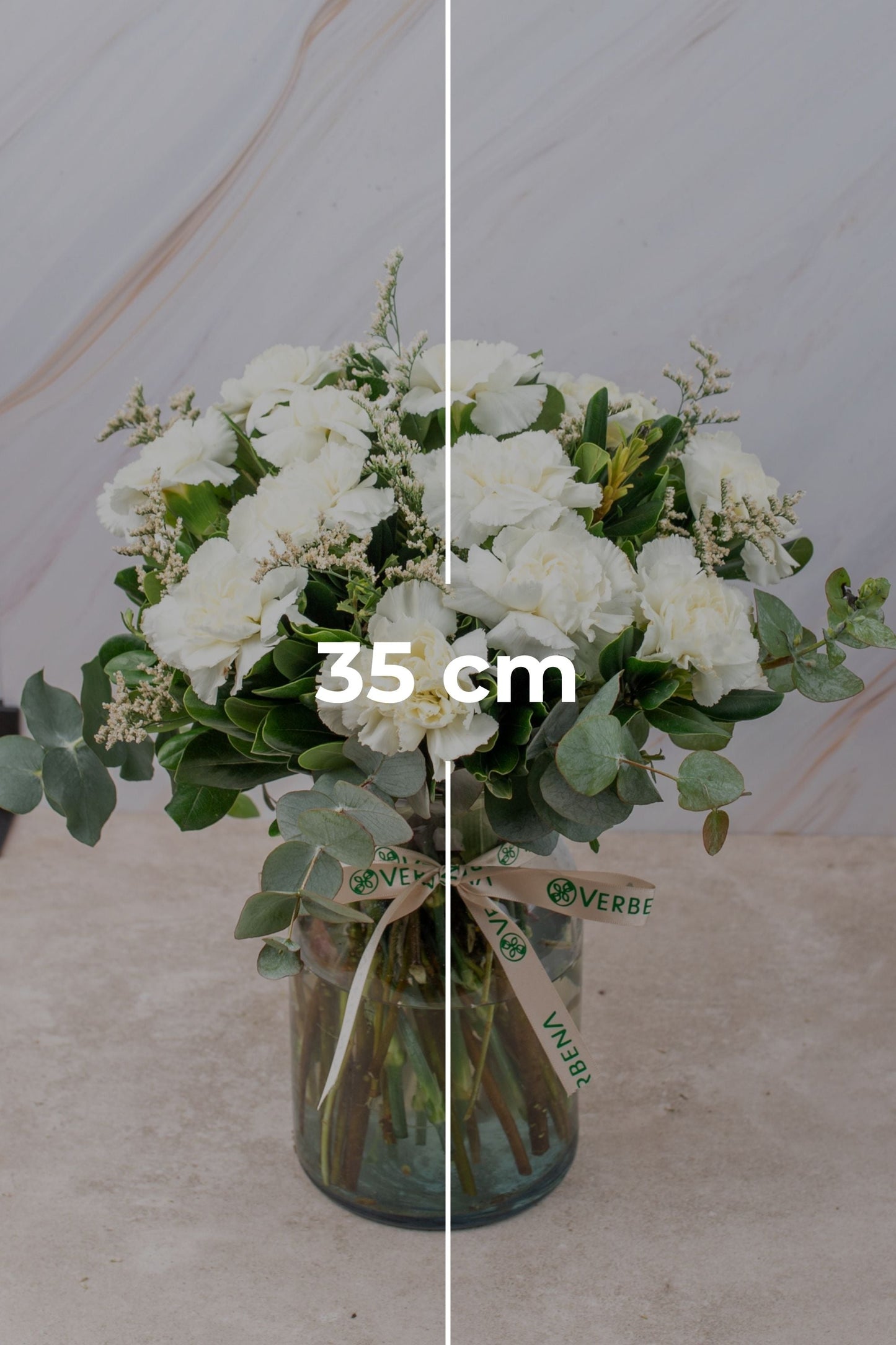 Rivera Flores - Clavel Blanco CULIACÁN