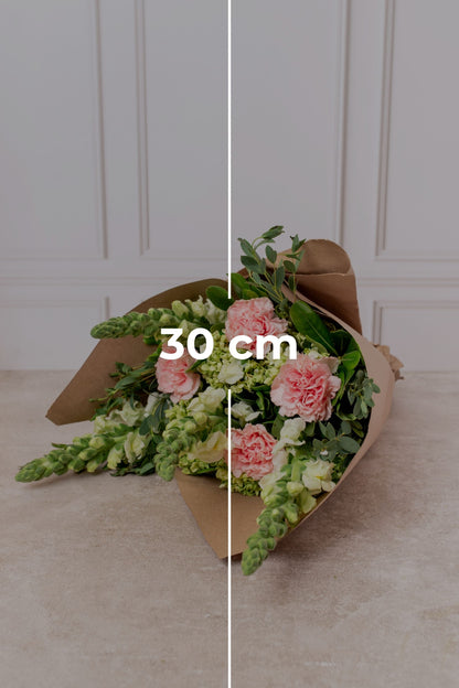 Ramo Nina Ricci - Clavel Rosa y Hortensia