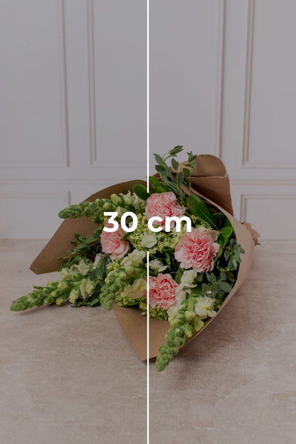 Ramo Nina Ricci - Clavel Rosa y Hortensia PTO. ESCOND.
