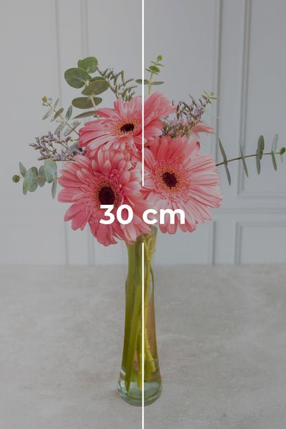 Pequeño Arcoíris Flores - Gerbera Rosa CULIACÁN