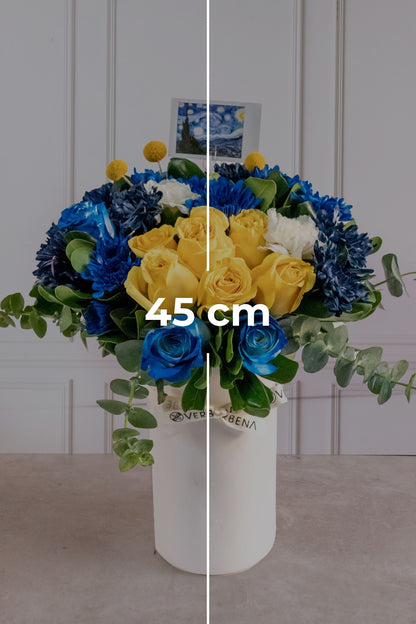 Noche Estrellada // Rosa Amarilla, Rosa Azul y Moreliana Azul