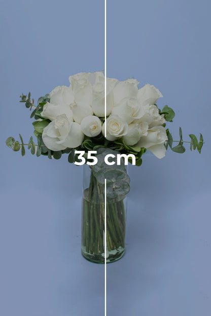 Amor y Paz - Rosa Blanca GDL