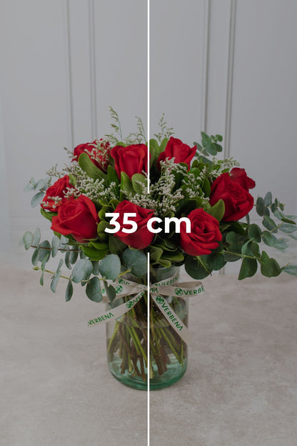 Amor Perfecto / Rosa Roja M SLP
