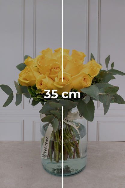 Canario // Rosa Amarilla
