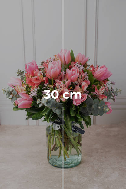 Campanita / Tulipán y Astromelia Rosa QRO