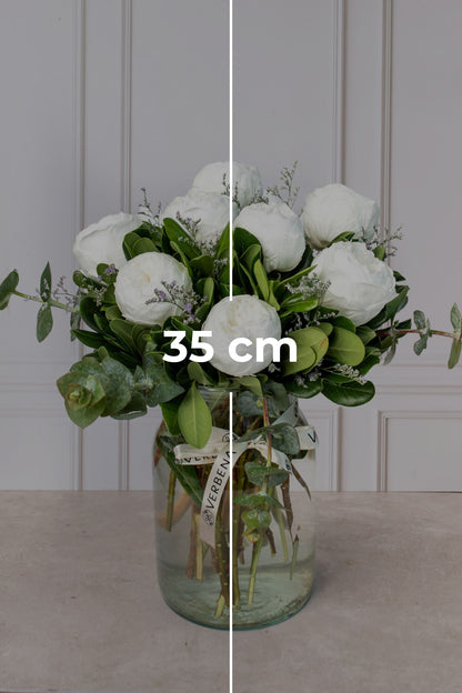 Bondad - Peonia Blanca Atizapán