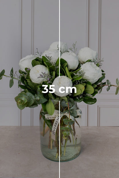 Bondad // Peonia Blanca