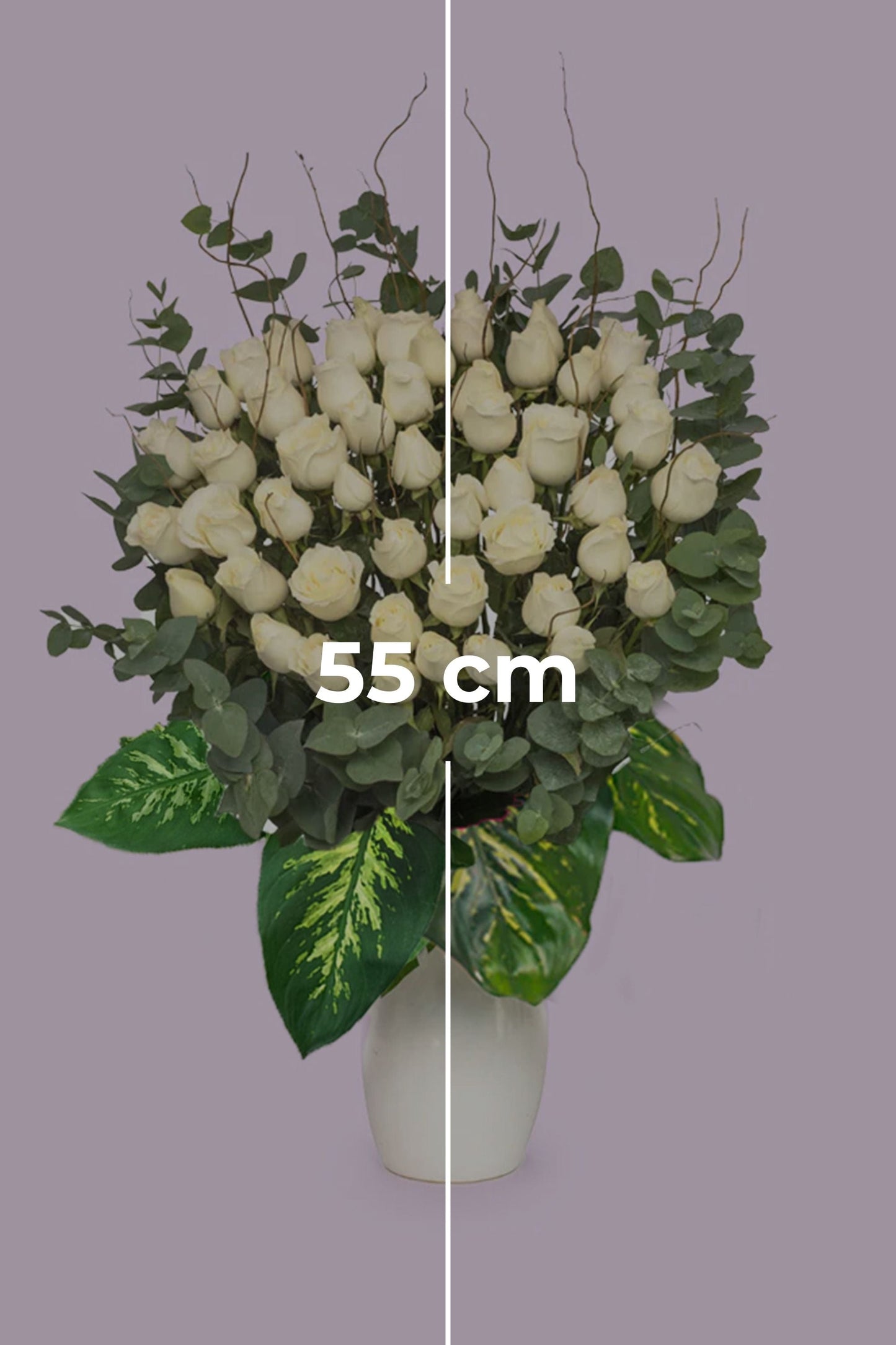 Arreglo Fúnebre - 50 Rosas Blancas Atizapán