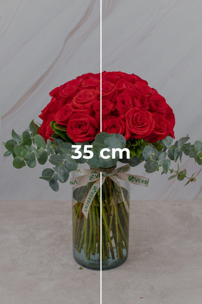 La Vida en Rosa - Rosas Rojas TGZ