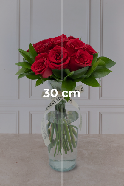 La Vida en Rosa Petite - Rosa Roja