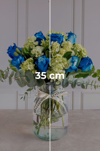 Índigo // Rosa Azul y Hortensia
