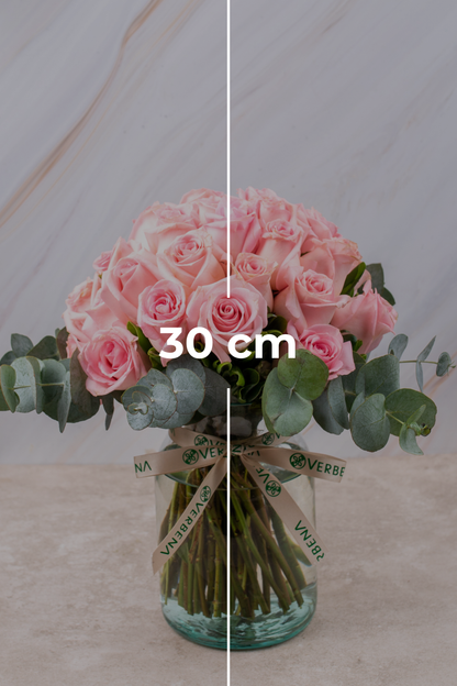 Flamingo Domingo // Rosa Clarita M COL
