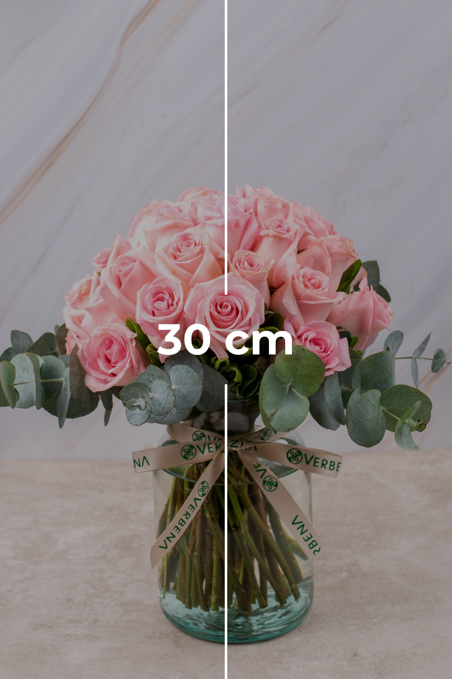 Flamingo Domingo - Rosa Clarita XAL