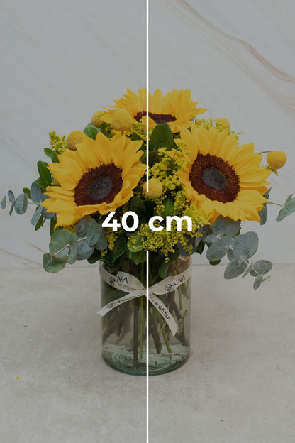 Eterna Primavera - Girasol y Craspedia CULIACÁN