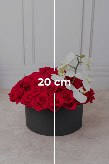 Escarlata - Caja de Rosas Rojas con Orquídea Blanca GDL
