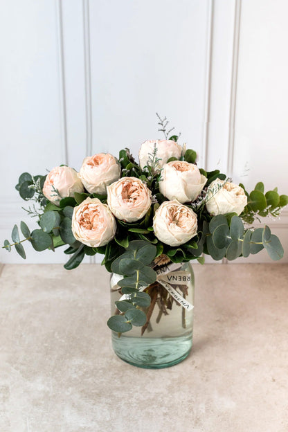 Limonada Rosa - Peonia Eterna Rosa Atizapán