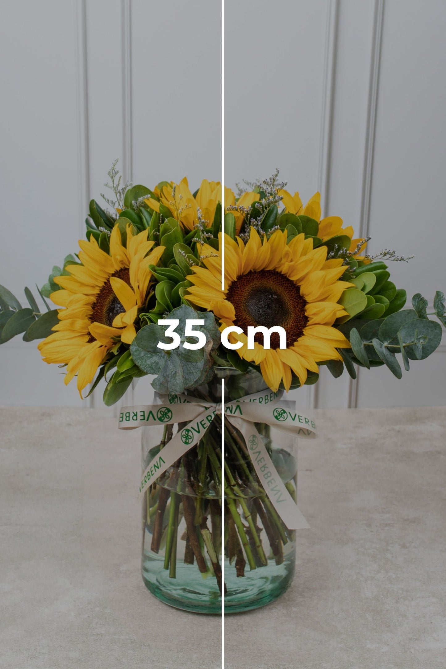 Sonrisa de Sol - Girasoles PTO. ESCOND.