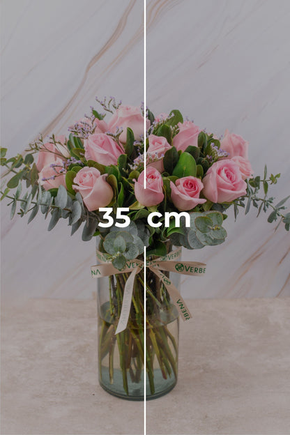 Amanecer SV / Rosa Clarita G