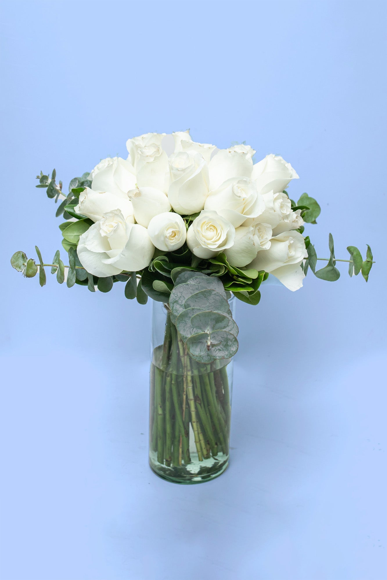 Amor y Paz - Rosa Blanca Atizapán