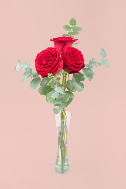 Bella SV / Tres Rosas