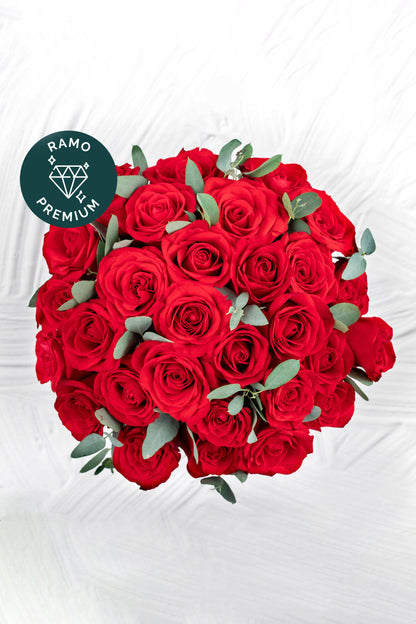 Catarina - (Caja Rosas Rojas)