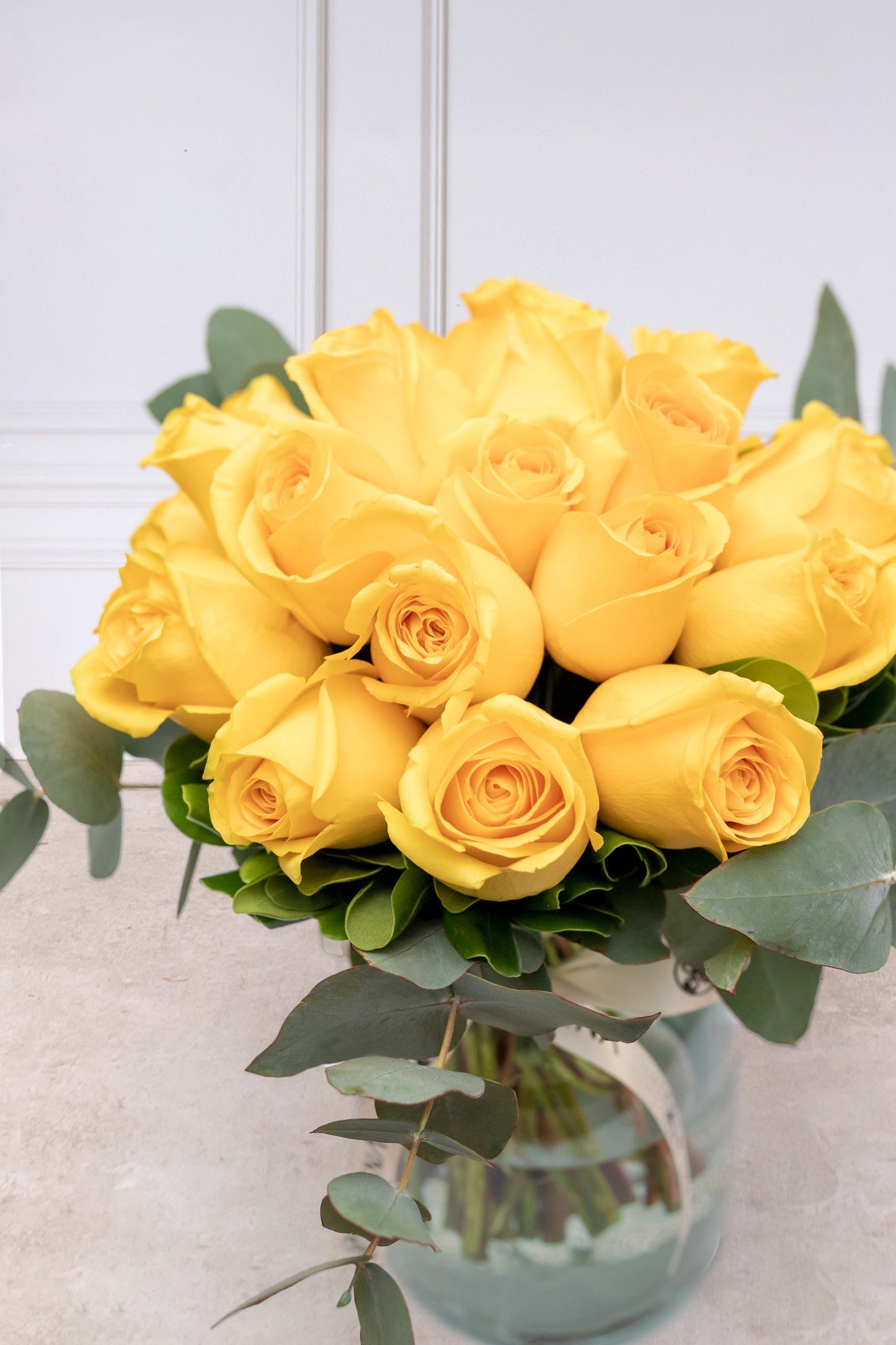 Canario - Rosa Amarilla XAL